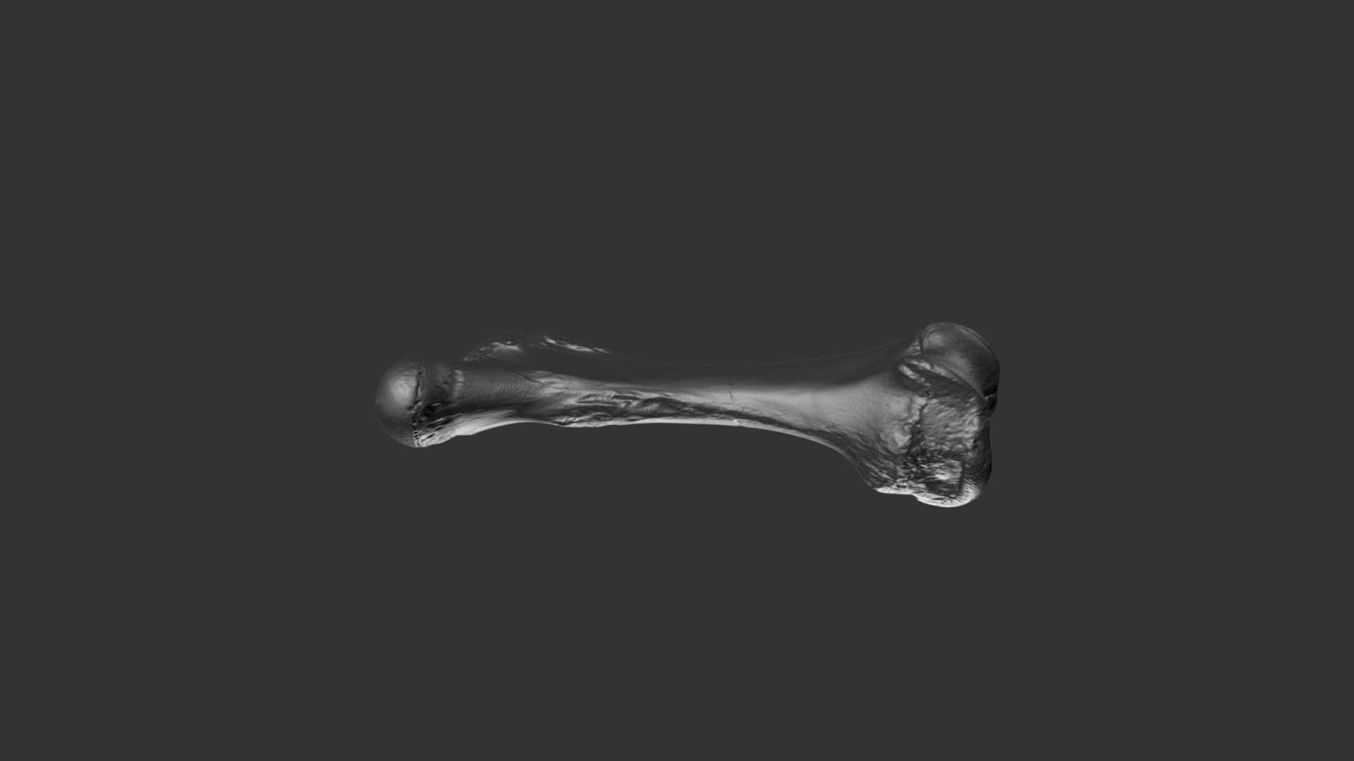 Mammut pacificus feft femur