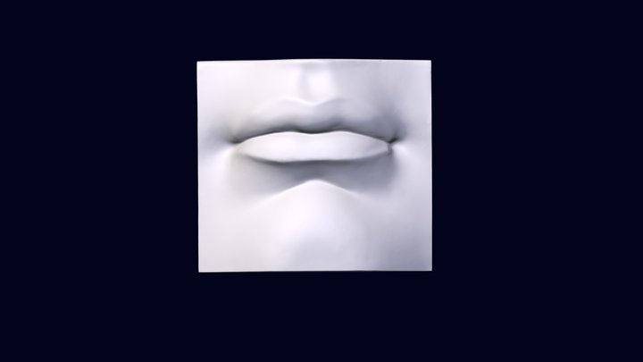 MICHELANGELO'S DAVID LIP 3D Model