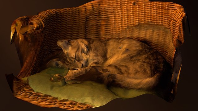 Our cat sleeping 3D Model