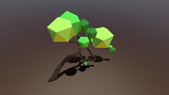 Cerrado Tree - 001 3D Model