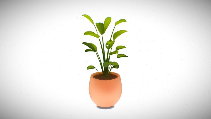 Green potted plant with long leaves