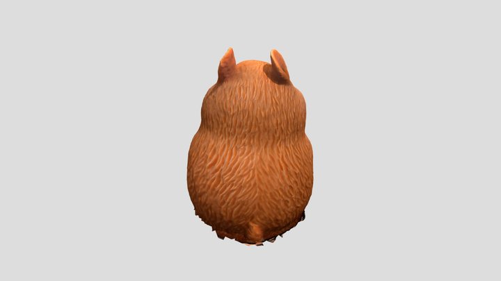 testGuinea 3D Model