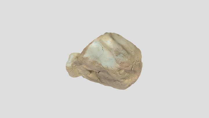 New Qlone 3D Model