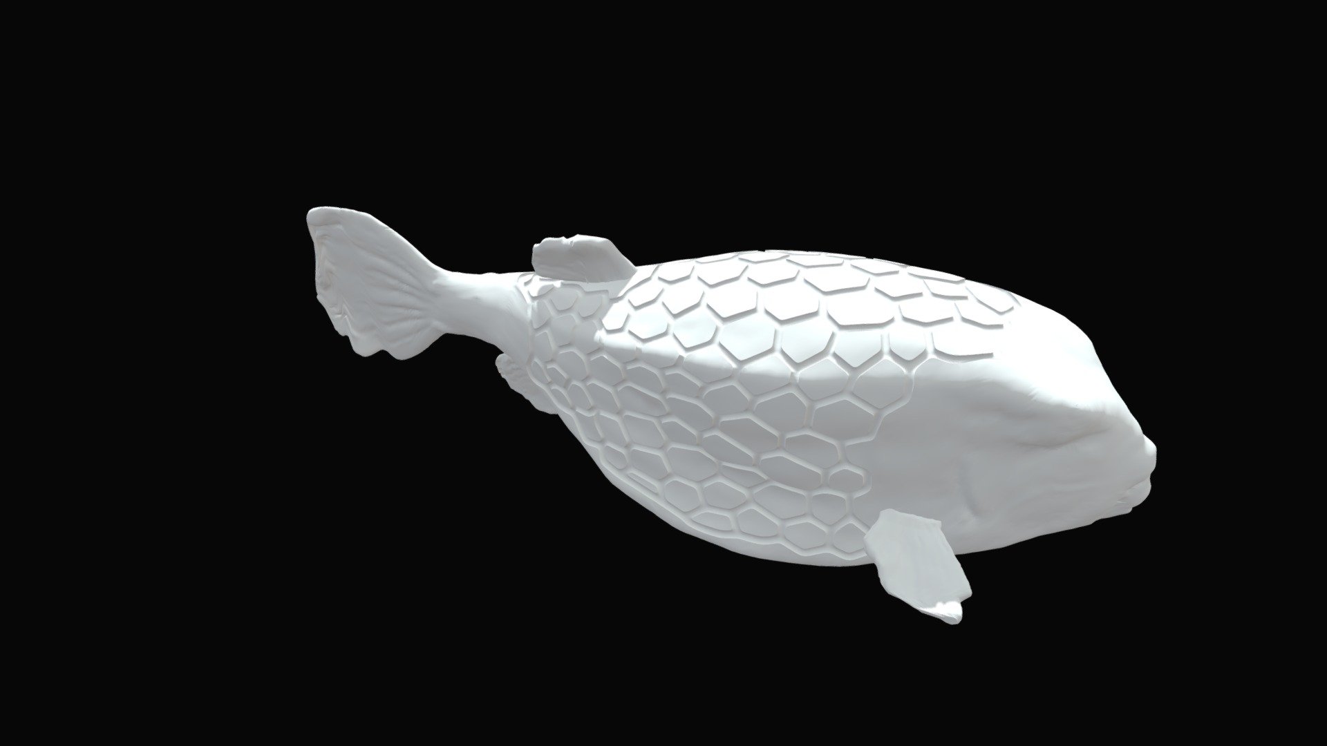 Boxfish (pattern engraved) - Download Free 3D model by Museum for Touch ...