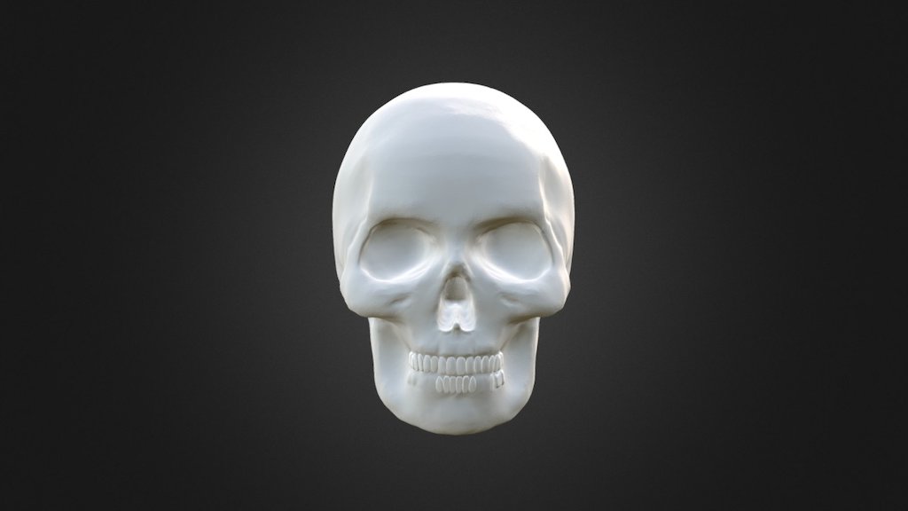 Skull