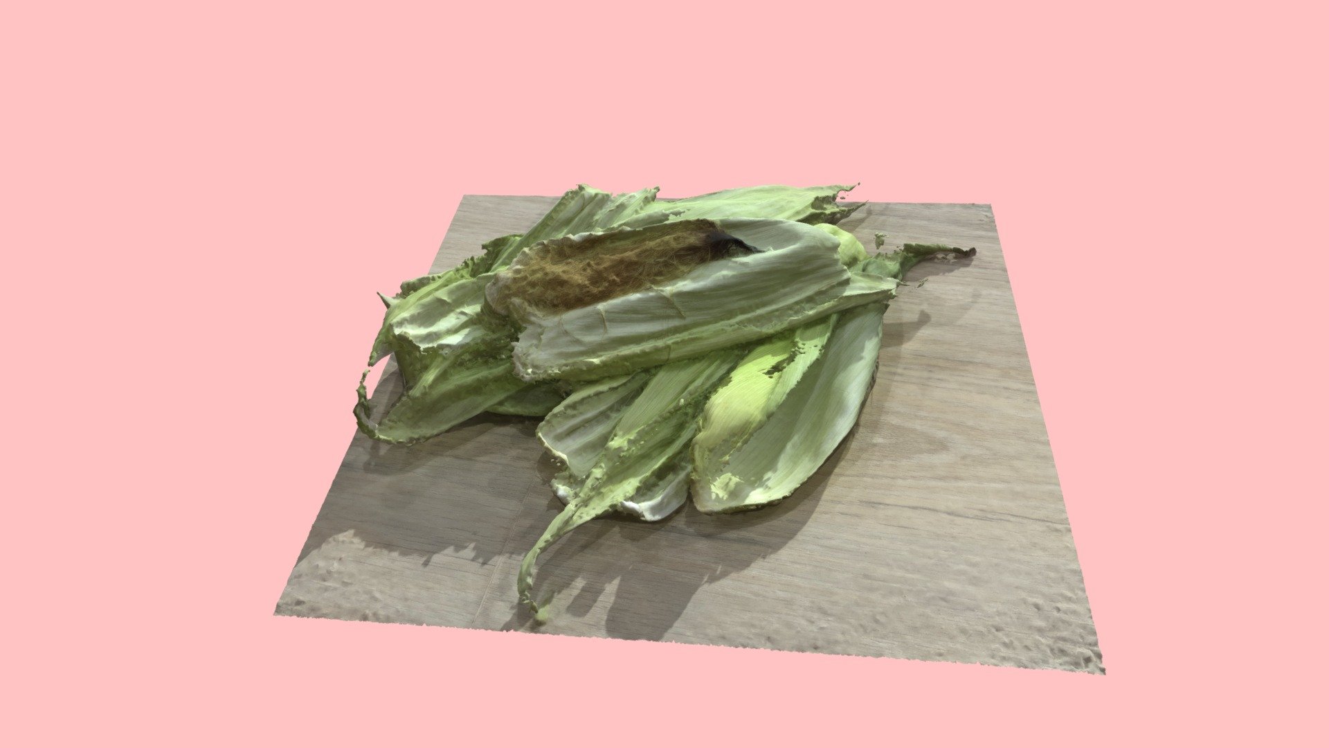 Peruvian Corn leaves  - Panca | Photogrammetry