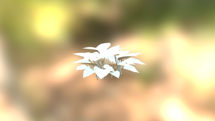 Hosta 3D Model