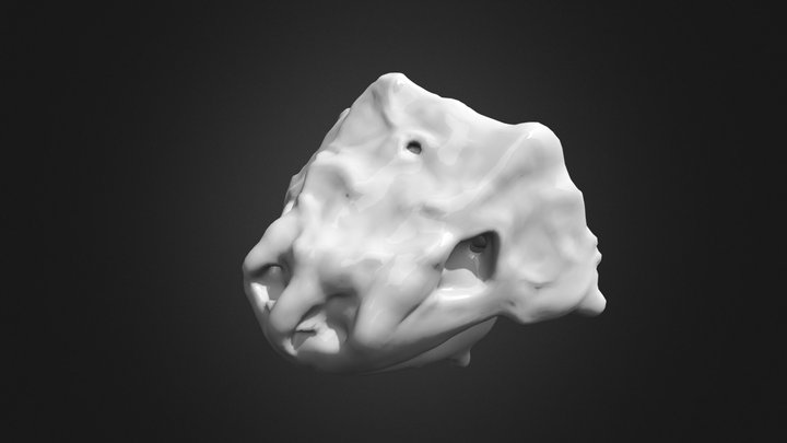Baby Dino Kopf 3D Model