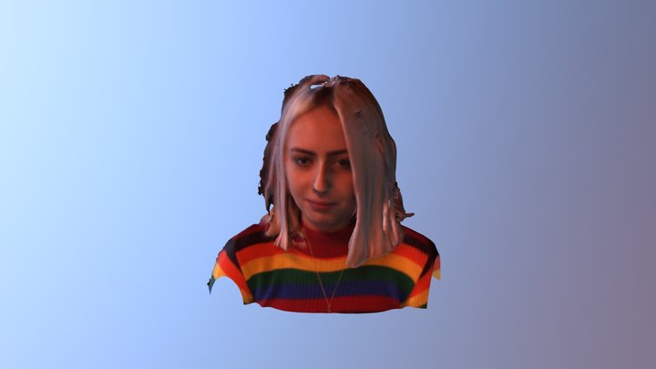 nic 3D Model