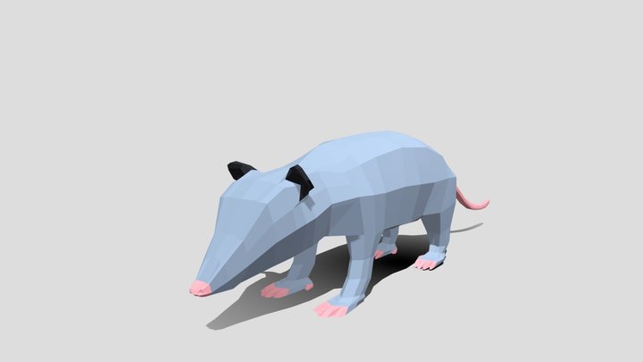 Low Poly Opossum 3D Model