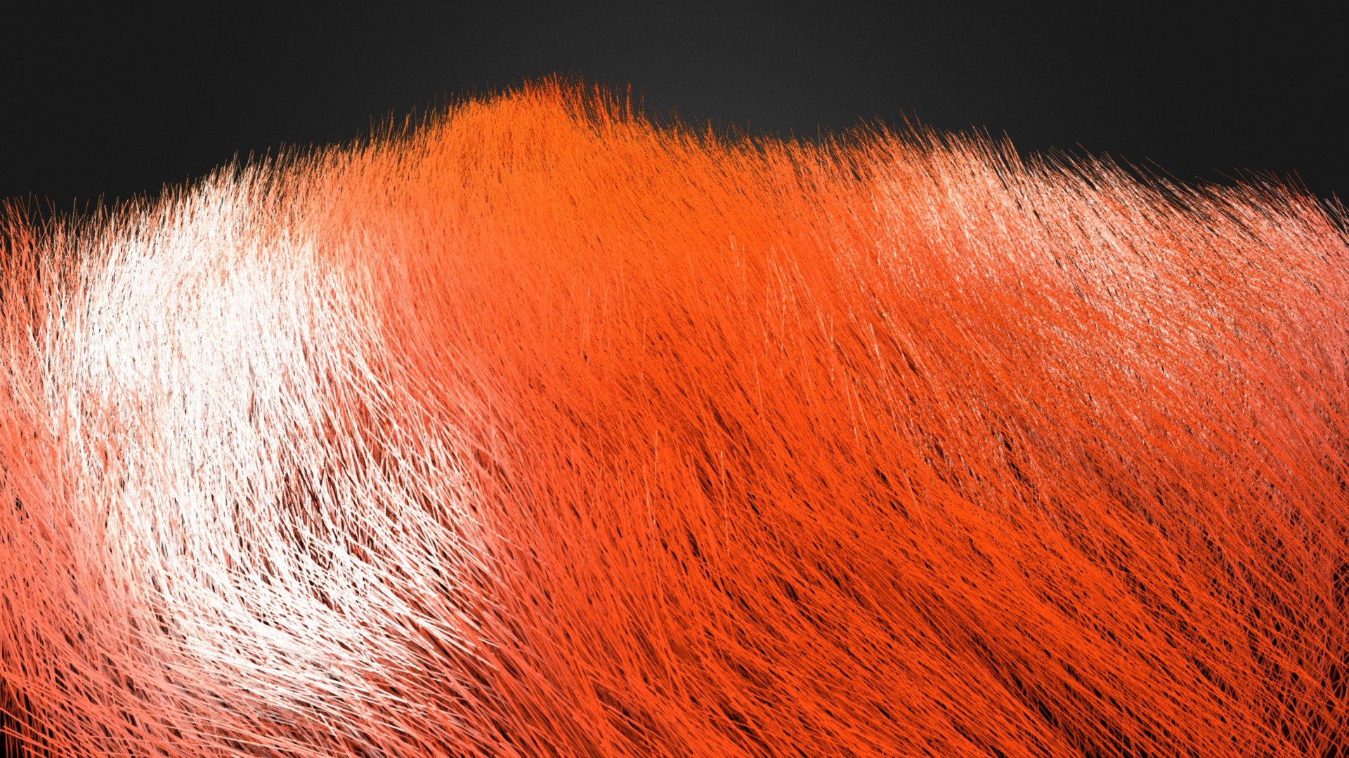 Realistic Animal Fur - 3D model by SpaNieLa (@panu117) [5edaf71 ...