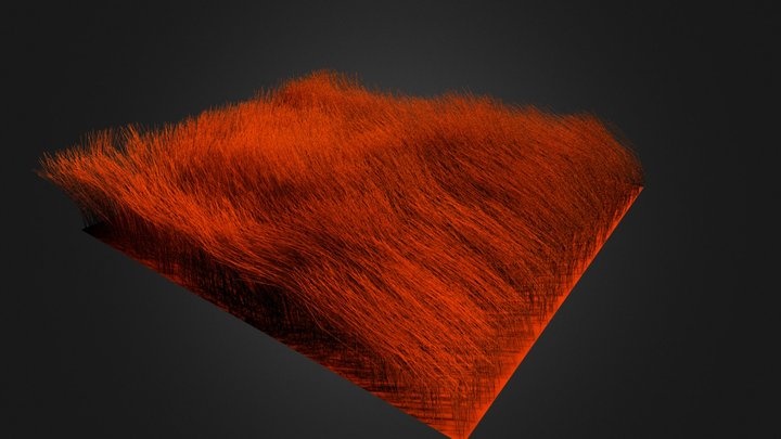 Realistic Animal Fur 3D Model