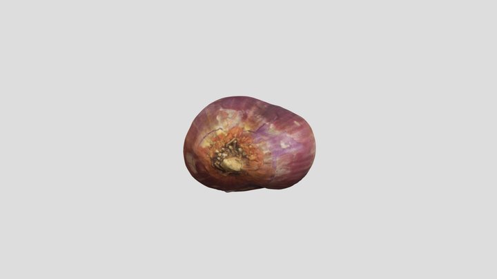 onion_1 3D Model
