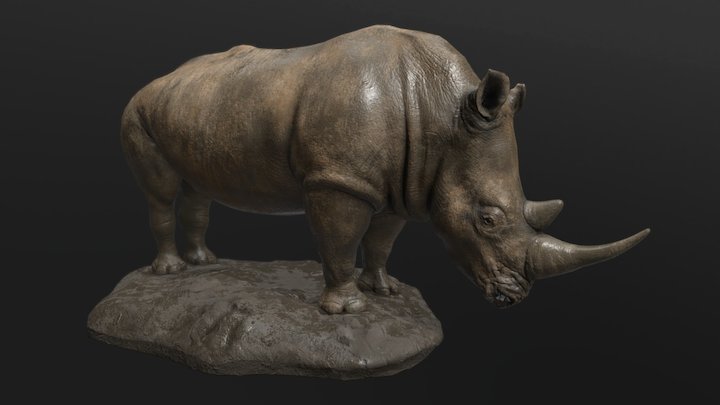 Rhino 3D Model