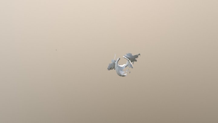 Model Danny 3D Model
