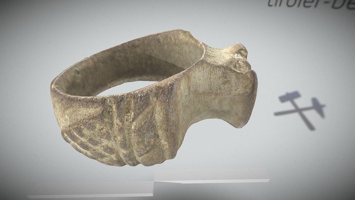 Bodenfund "Ring" Tirol 3D Model