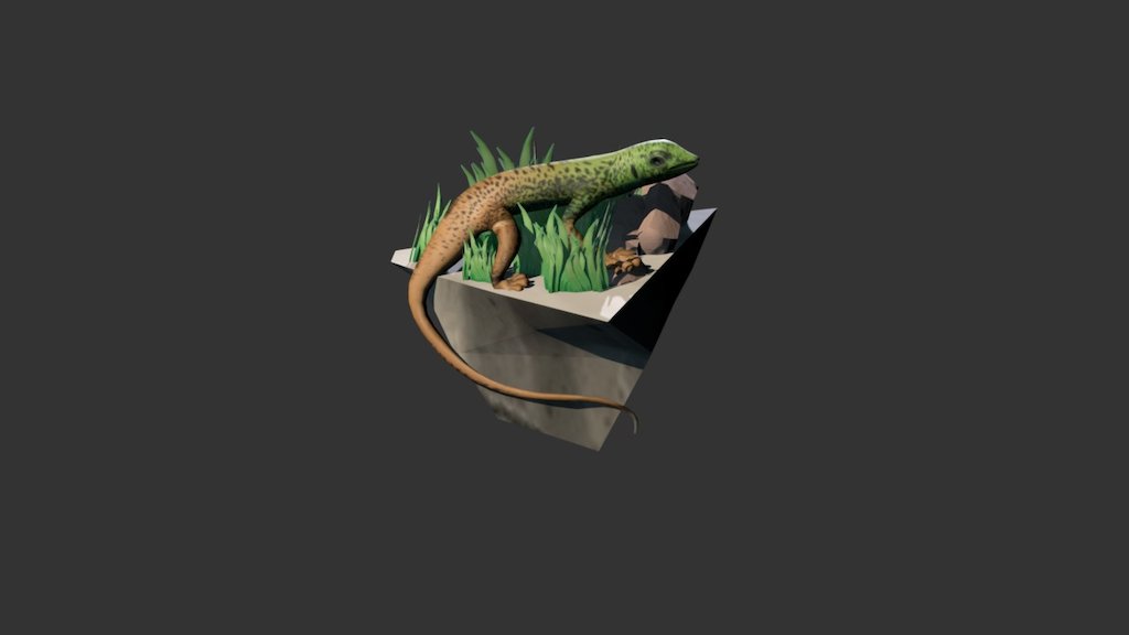 Lizard - 3D model by abhayka [5edfe11] - Sketchfab