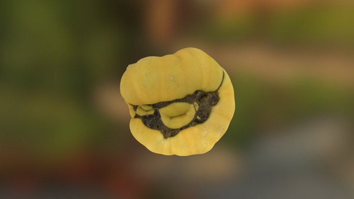 Yellow Heirloom Tomato 3D Model