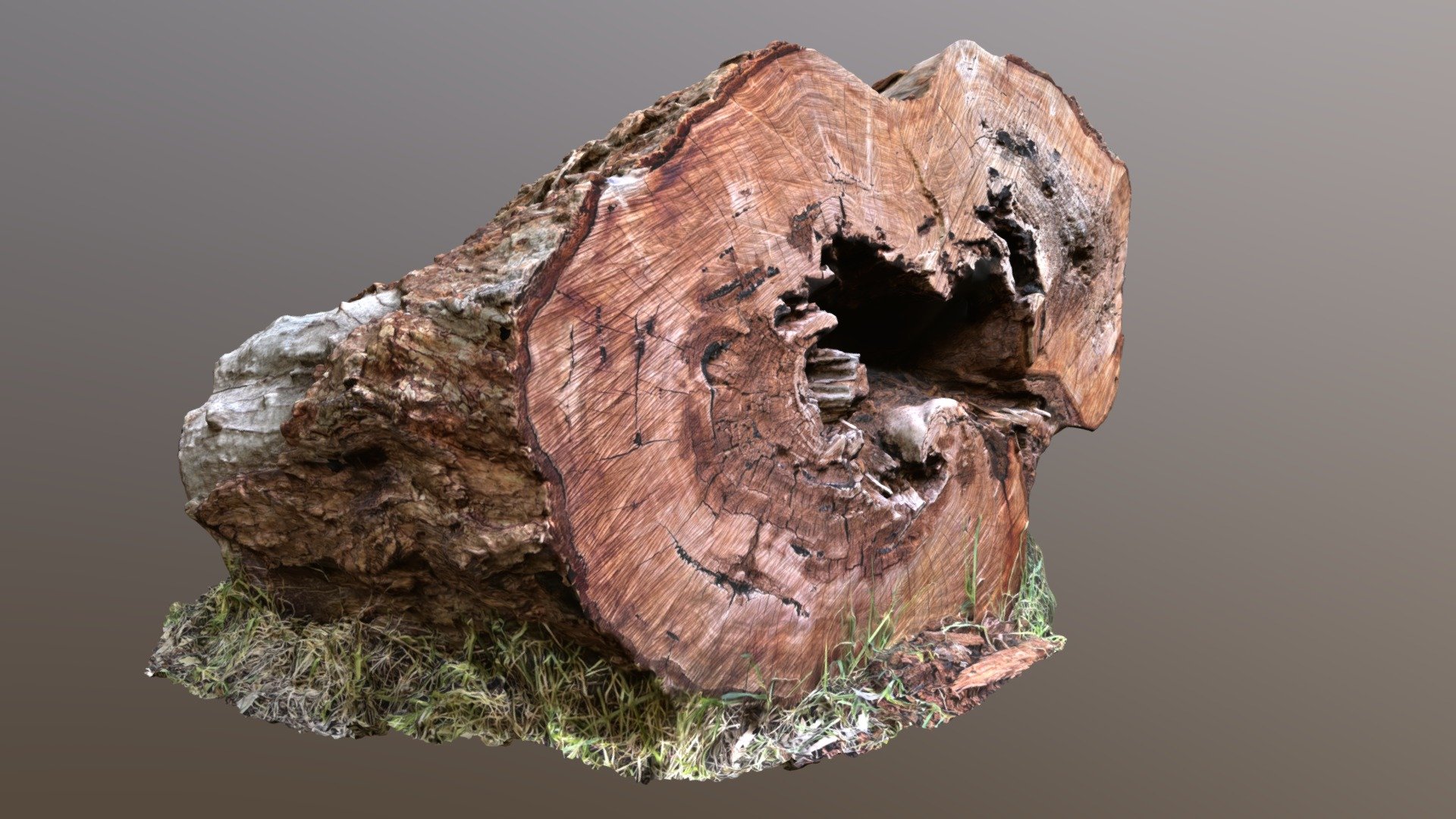 Red Gum Log (High Poly) - Download Free 3D model by craggle [5ee2dd6 ...