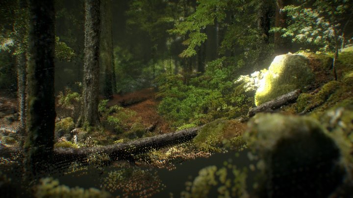 Jungle trail point cloud 3D Model