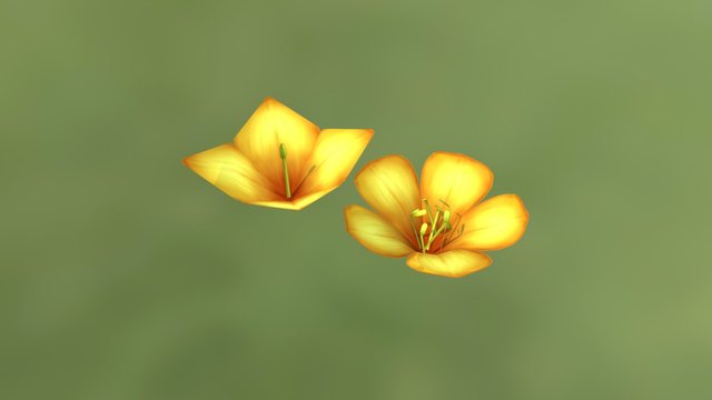 Low Polly Flowers 3D Model