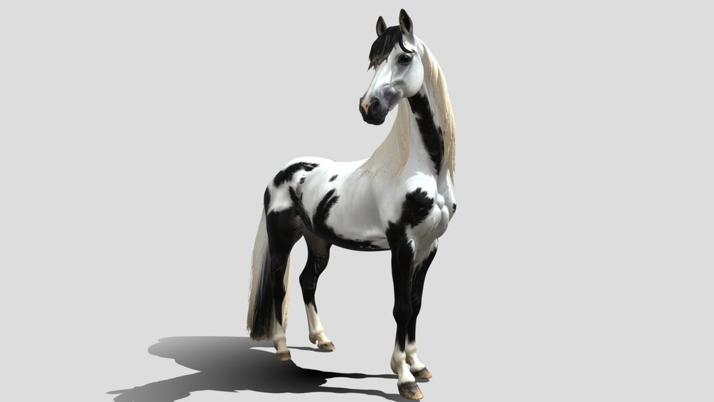 Horse 3d model free