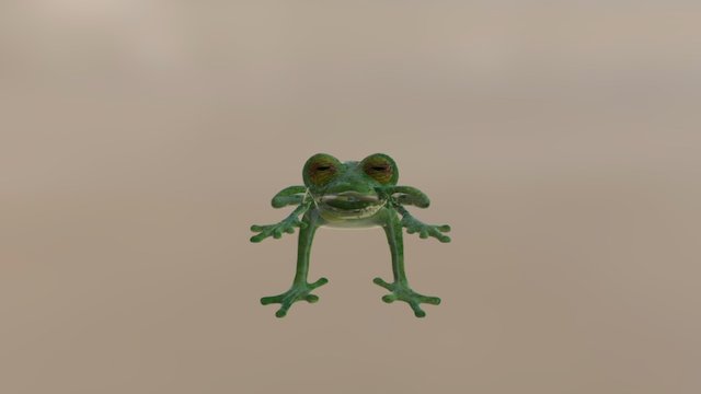 Glass Frog from Planet Earth II 3D Model