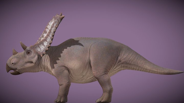 JWE2 Chasmosaurus – Free 3D Model STL