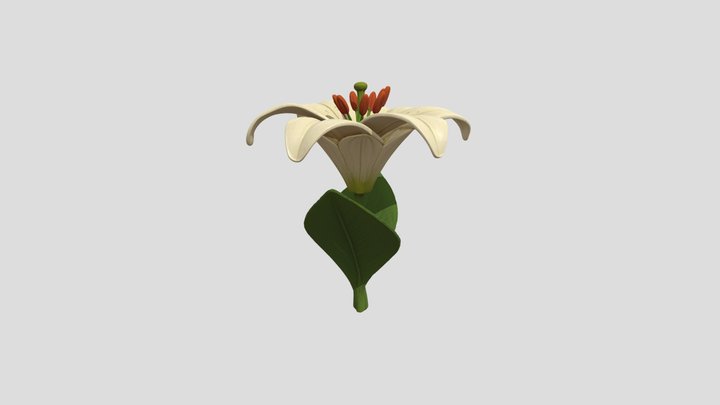 Flower 3D Model