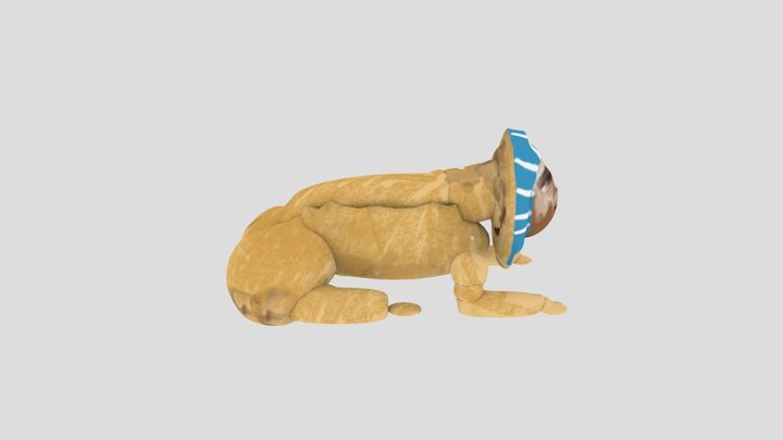 Sphinx Real Face