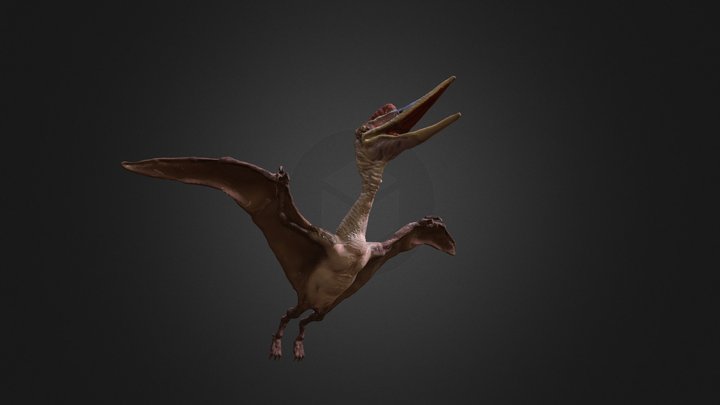 Pterosaur_Quetzalcoatlus