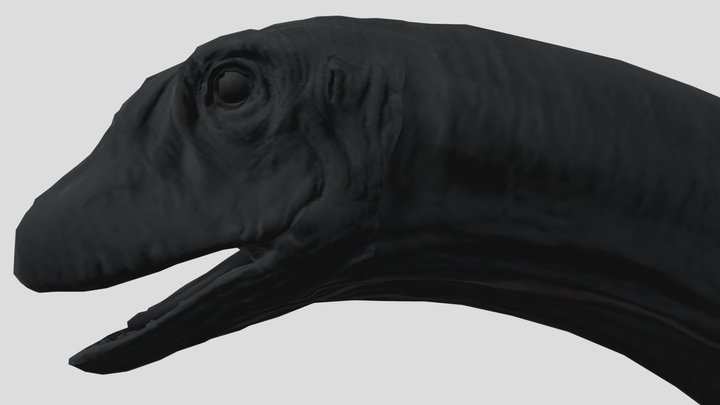 Dreadnoughtus 3D Model