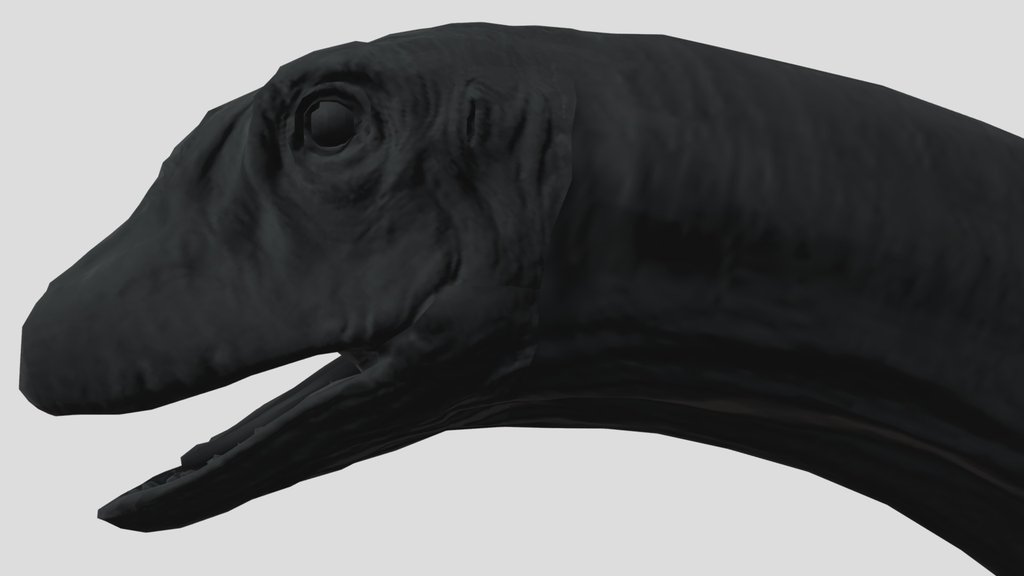 Dreadnoughtus