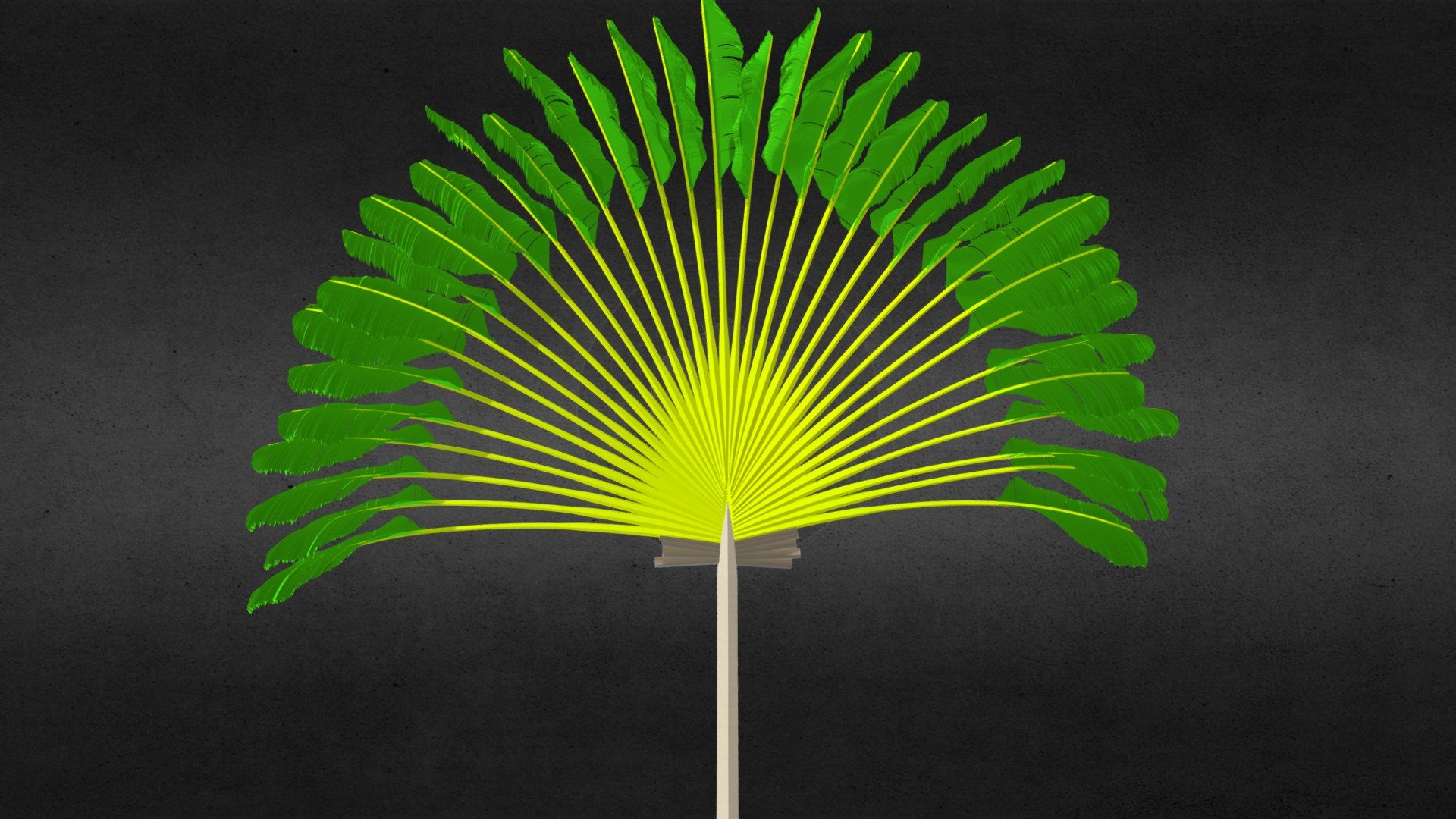 Ravenala Madagascariensis — Sketchfab embed 3D viewer