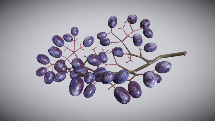 Grape