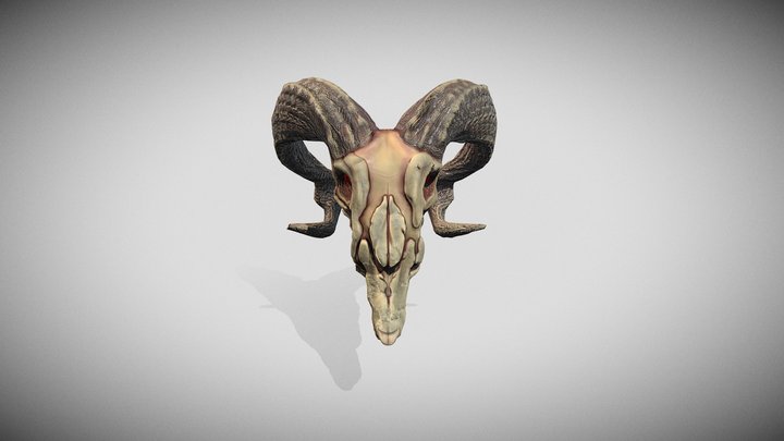 goat skull GAMEREADY 3D Model