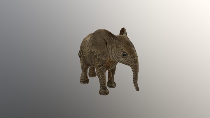 Elephant 3D Model