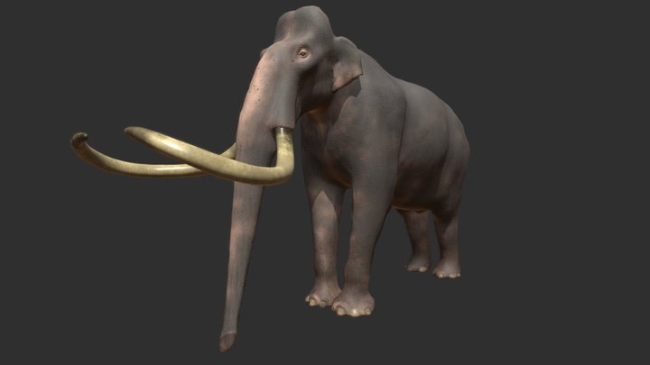Southern Mammoth (Mammuthus meridionalis) 3D Model
