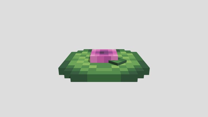 Lily pad hat 3D Model