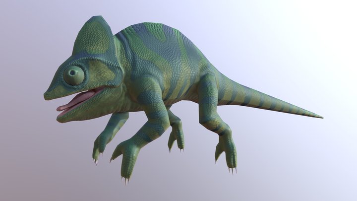 3D modelling is helping researchers understand how chameleons