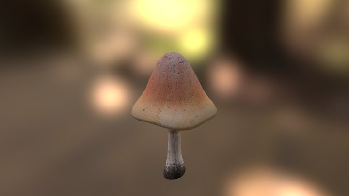 Mushroom_Tall 3D Model