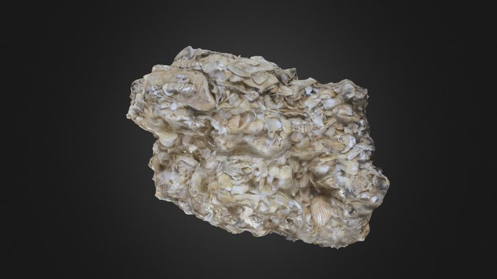 Coquina (PRI) – Modello 3D gratuito STL