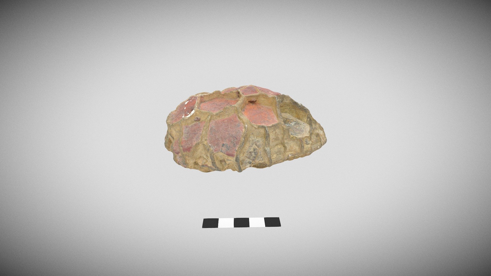 septarian nodule