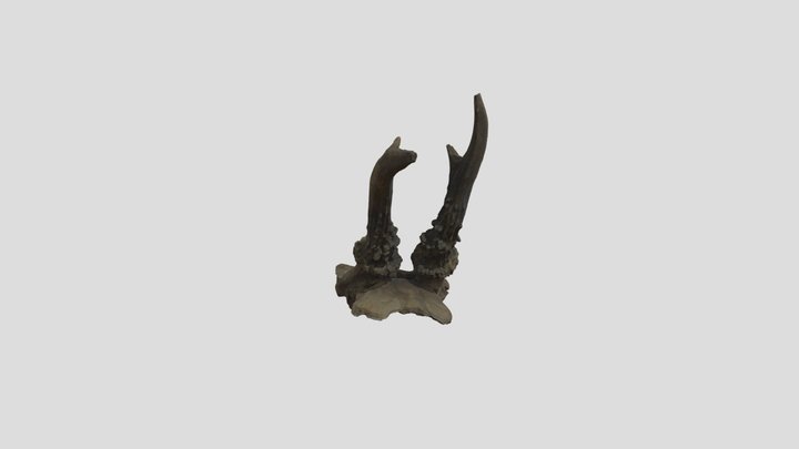 2016-11-25-scaled 3D Model