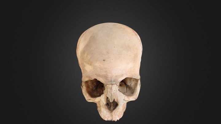 Skull "Mieres" 3D Model