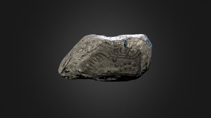 HelleristningsteinFINAL 3D Model