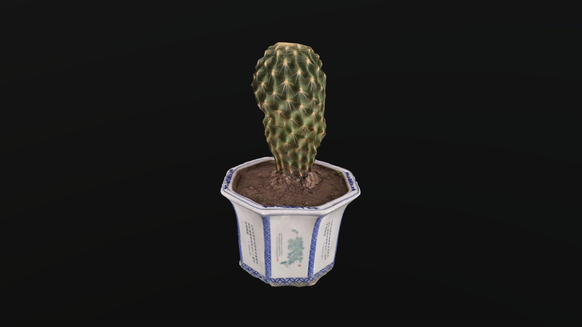 cactus_2021_redo2