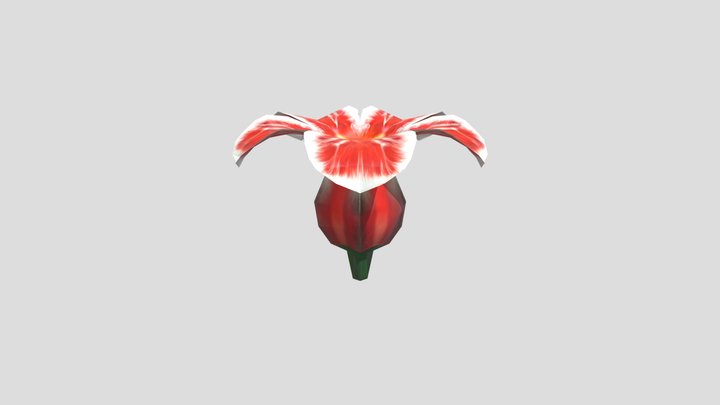 hupepa 3D Model