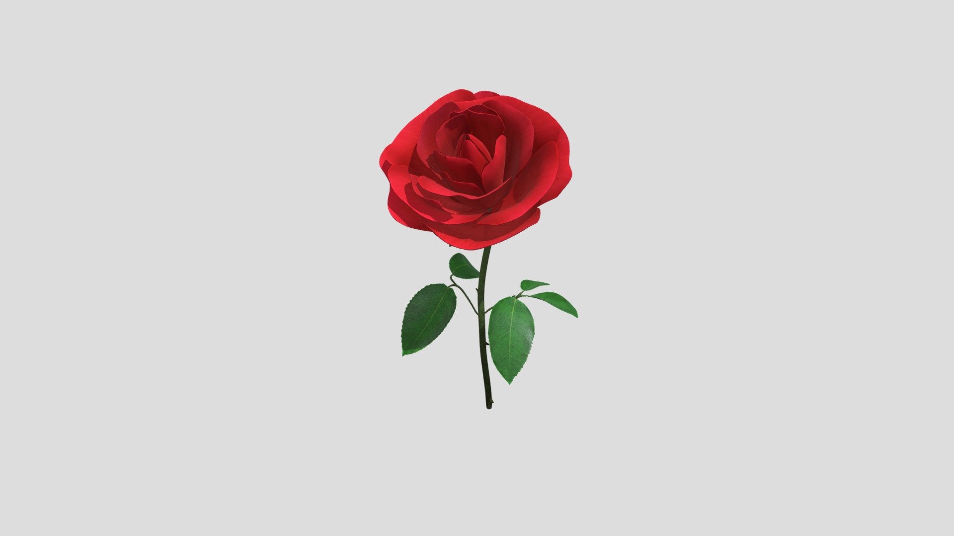Rose - 3D model by 1930208040 [5f0e439] - Sketchfab