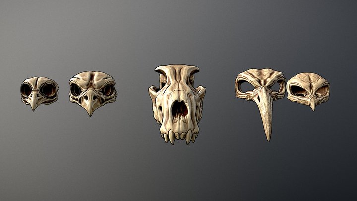 Skulls Masks 3D Model
